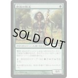 [HPLD]貴族の教主/Noble Hierarch《日本語》【CON】