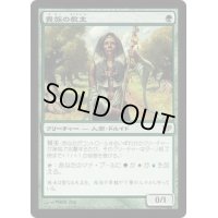 [EX]貴族の教主/Noble Hierarch《日本語》【CON】