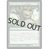 [EX+]ツリーフォークの先触れ/Treefolk Harbinger《日本語》【LRW】