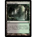 [PLD]新緑の地下墓地/Verdant Catacombs《日本語》【ZEN】