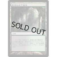 [PLD]新緑の地下墓地/Verdant Catacombs《日本語》【ZEN】
