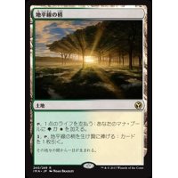 [EX]地平線の梢/Horizon Canopy《日本語》【IMA】