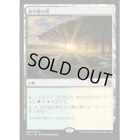 [HPLD]地平線の梢/Horizon Canopy《日本語》【IMA】