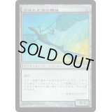 [EX+]羽ばたき飛行機械/Ornithopter《日本語》【10E】