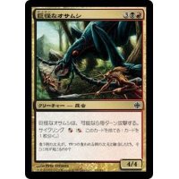 [EX+]巨怪なオサムシ/Monstrous Carabid《日本語》【ARB】