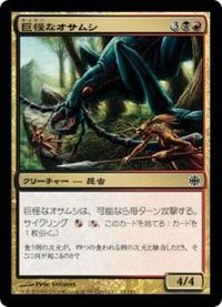 [EX+]巨怪なオサムシ/Monstrous Carabid《日本語》【ARB】