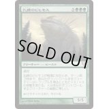 [HPLD]孔蹄のビヒモス/Craterhoof Behemoth《日本語》【AVR】