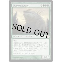 [PLD]孔蹄のビヒモス/Craterhoof Behemoth《日本語》【AVR】