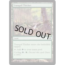 画像1: 平穏な茂み/Tranquil Thicket《英語》【Commander 2013】