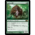 [EX+]スラーグ牙/Thragtusk《日本語》【M13】