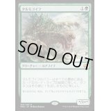 [HPLD]タルモゴイフ/Tarmogoyf《日本語》【MM2】