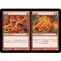 [EX+]死亡+退場/Dead+Gone《日本語》【PLC】