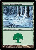 [EX+]冠雪の森/Snow-Covered Forest《英語》【CSP】
