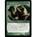 [EX+]タルモゴイフ/Tarmogoyf《日本語》【FUT】