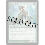 [EX+]茨森の模範/Bramblewood Paragon《日本語》【MOR】
