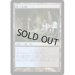 画像1: [HPLD]湿った墓/Watery Grave《日本語》【RAV】