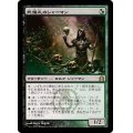 [EX+]死儀礼のシャーマン/Deathrite Shaman《日本語》【RTR】