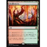 [EX]燃え柳の木立ち/Grove of the Burnwillows《日本語》【IMA】