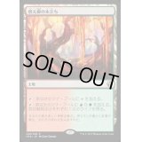 [PLD]燃え柳の木立ち/Grove of the Burnwillows《日本語》【IMA】