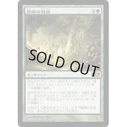 画像1: [EX]原始の報奨/Primeval Bounty《日本語》【M14】