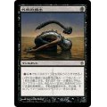 [EX]外科的摘出/Surgical Extraction《日本語》【NPH】