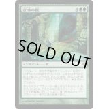 [EX+]召喚の罠/Summoning Trap《日本語》【ZEN】