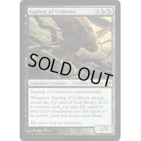 [EX+]コルフェノールの若木/Sapling of Colfenor《英語》【EVE】