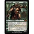 獣の統率者、ガラク/Garruk, Caller of Beasts《日本語》【M14】