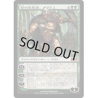 [PLD]獣の統率者、ガラク/Garruk, Caller of Beasts《日本語》【M14】
