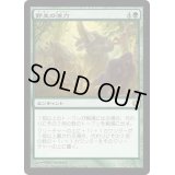 [EX+]野生の活力/Primal Vigor《日本語》【Commander 2013】