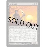 [PLD]梅澤俊郎/Toshiro Umezawa《日本語》【BOK】