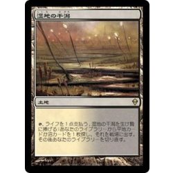 画像1: [EX+]湿地の干潟/Marsh Flats《日本語》【ZEN】