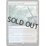 [HPLD]水没した地下墓地/Drowned Catacomb《英語》【XLN】