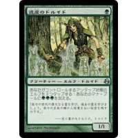 [EX]遺産のドルイド/Heritage Druid《日本語》【MOR】