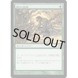 [EX+]根の迷路/Root Maze《日本語》【10E】