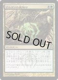 [EX+]ゴルガリの魔除け/Golgari Charm《日本語》【RTR】