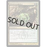 [EX+]ゴルガリの魔除け/Golgari Charm《日本語》【RTR】