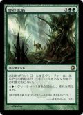 [EX+]苦行主義/Asceticism《日本語》【SOM】