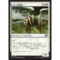 [EX+]ちらつき鬼火/Flickerwisp《日本語》【Commander 2014】