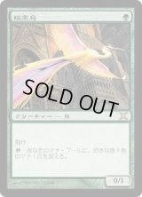 [HPLD]極楽鳥/Birds of Paradise《日本語》【10E】