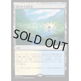 ☆SALE☆[EX+]溢れかえる岸辺/Flooded Strand《日本語》【KTK】