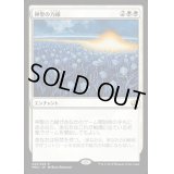 [EX+]神聖の力線/Leyline of Sanctity《日本語》【MM2】