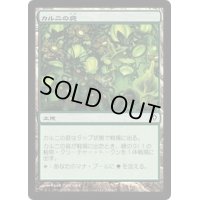 [EX+]カルニの庭/Khalni Garden《日本語》【WWK】