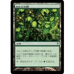 画像1: [EX+]カルニの庭/Khalni Garden《日本語》【WWK】