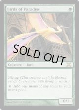 [HPLD]極楽鳥/Birds of Paradise《英語》【10E】