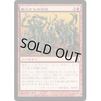 [EX+]巣穴からの総出/Empty the Warrens《日本語》【TSP】