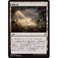 廃墟の地/Field of Ruin《日本語》【XLN】