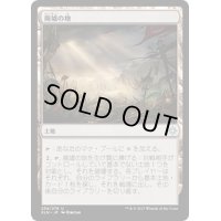 [EX+]廃墟の地/Field of Ruin《日本語》【XLN】