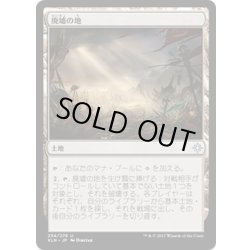 画像1: 廃墟の地/Field of Ruin《日本語》【XLN】