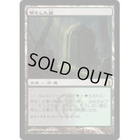 [EX]草むした墓/Overgrown Tomb《日本語》【RTR】